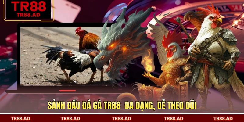 Sảnh đấu đá gà TR88  đa dạng, dễ theo dõi